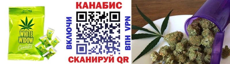 Canna-Cookies конопля  Купить  Курчалой 