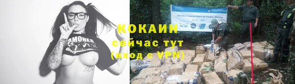 каннабис Верея