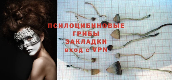 каннабис Верея