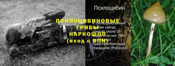прущие грибы Володарск