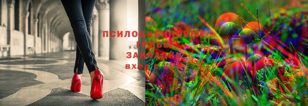 каннабис Верея