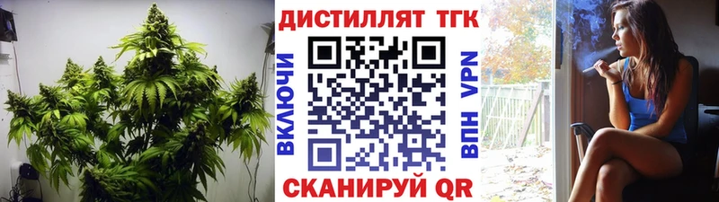 Дистиллят ТГК THC oil  Купить где  Курчалой 