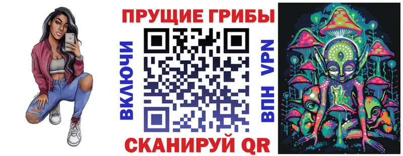 Купить закладки  Курчалой  Галлюциногенные грибы GOLDEN TEACHER 
