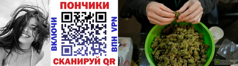 Купить где  Курчалой  Канабис сатива 